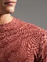 closeup.webp