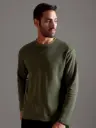 Waffle Textured Crew Neck Full Sleeve - Olive Green